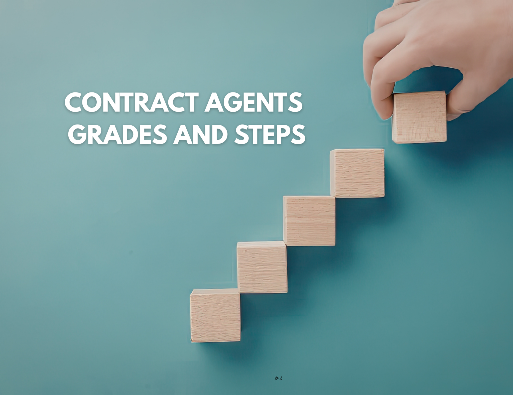 Understanding grades and steps in the career of Contract Agents ...